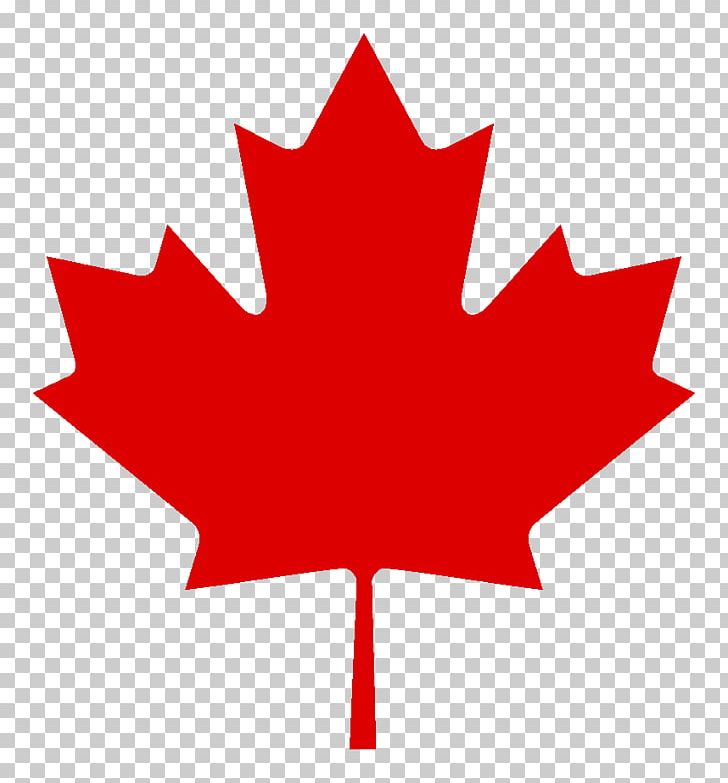 Flag Of Canada Red Maple Sugar Maple Maple Leaf PNG, Clipart, Canada, Flag Of Canada, Flower, Flowering Plant, Leaf Free PNG Download