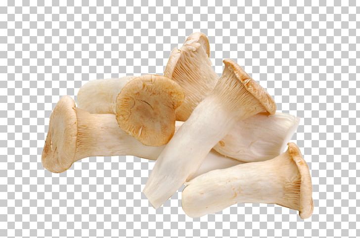 Pleurotus Eryngii Mushroom Food Vegetable Agaricus PNG, Clipart, Bell Pepper, Food, Fresh Juice, Fresh Salmon, Fruit Free PNG Download