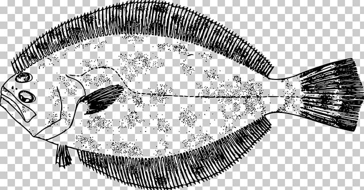 Southern Flounder Drawing Fish Gulf Flounder PNG, Clipart, Animals, Artwork, Black And White, Drawing, Fishing Free PNG Download