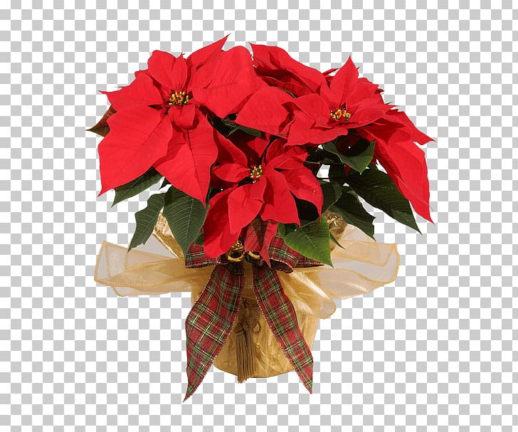 Floral Design Fone For Flowers Cut Flowers Flower Bouquet PNG, Clipart, Christmas, Christmas Decoration, Christmas Ornament, Cut Flowers, Do You Know Free PNG Download