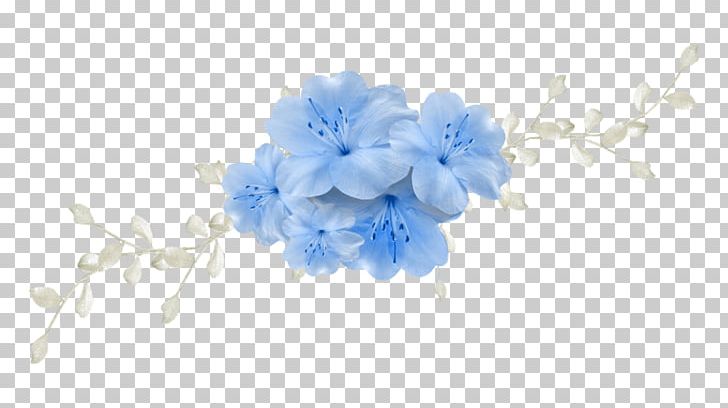 Flower Color PNG, Clipart, Blossom, Blue, Branch, Cherry Blossom, Cut Flowers Free PNG Download