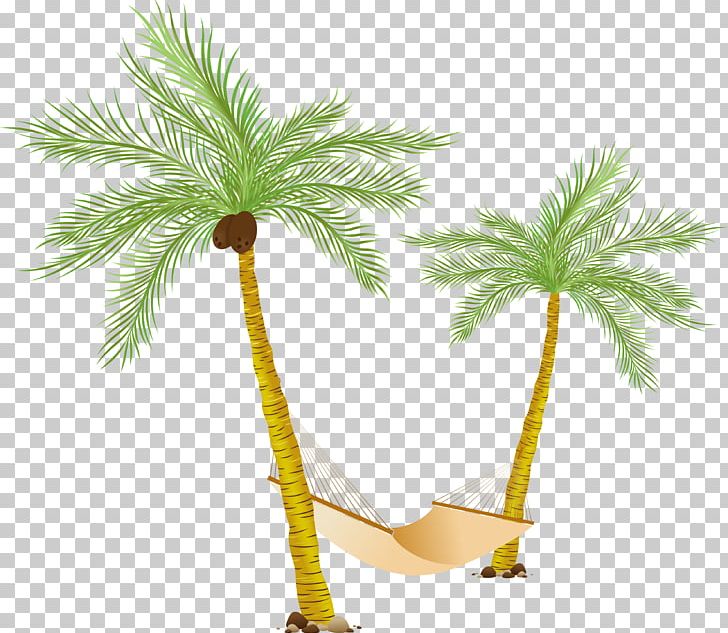 Hammock Arecaceae PNG, Clipart, Arecaceae, Arecales, Borassus Flabellifer, Clip Art, Coconut Free PNG Download