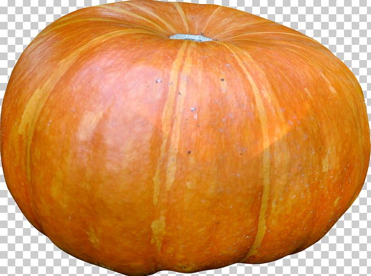 Pumpkin Calabaza Winter Squash Gourd Vegetarian Cuisine PNG, Clipart, Commodity, Cucumber Gourd And Melon Family, Cucurbita, Food, Fruit Free PNG Download