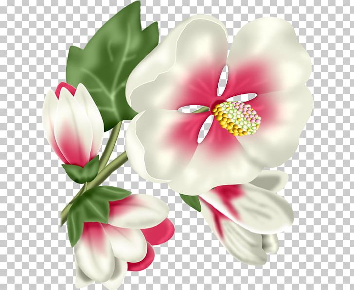 Tulip Cut Flowers Petal PNG, Clipart, Animation, Blog, Blossom, Cut Flowers, Desktop Wallpaper Free PNG Download