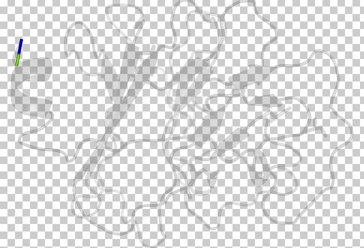 White Line PNG, Clipart, Area, Art, Black And White, Line, Line Art Free PNG Download