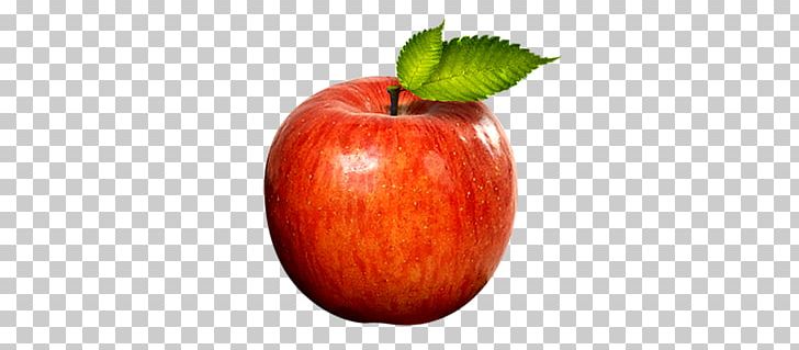 Apple Icon PNG, Clipart, Apple, Apple Fruit, Apple Logo, Apple Tree, Diet Food Free PNG Download