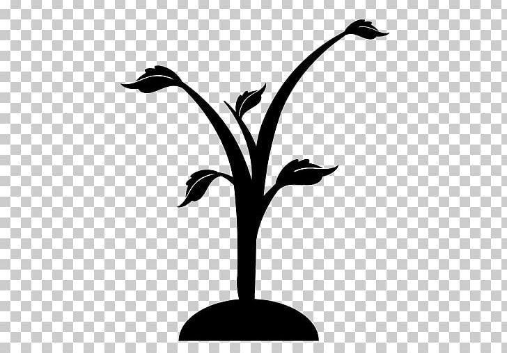 Tree Computer Icons PNG, Clipart, Beak, Bird, Black And White, Branch, Computer Icons Free PNG Download