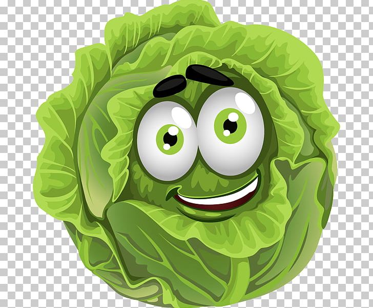 Cabbage Graphics Vegetable Illustration PNG, Clipart, Cabbage, Cabbage Clipart, Food, Fruit, Green Free PNG Download
