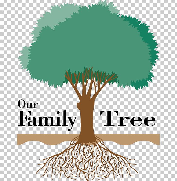 Family Tree Genealogy Ancestor PNG, Clipart, Ancestor, Ancestrycom Inc, Branch, Child, Extended Family Free PNG Download