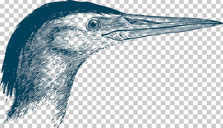 Goose Beak Bird Swallow PNG, Clipart, Animals, Anser, Beak Vector, Bird Goose, Camly Free PNG Download