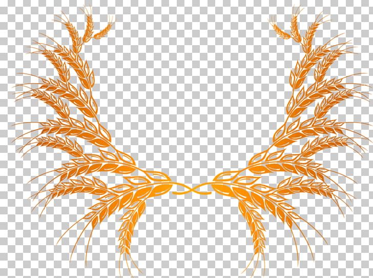 Wheat Bran PNG, Clipart, Bran, Commodity, Drawing, Ear, Encapsulated Postscript Free PNG Download