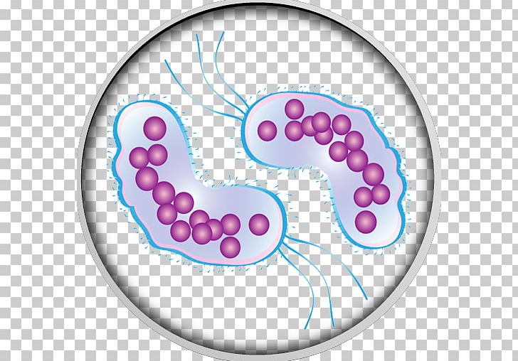 Microorganism Bacteria Infection Virus PNG, Clipart, Ache, Area, Bacillus Cereus, Bacteria, Circle Free PNG Download