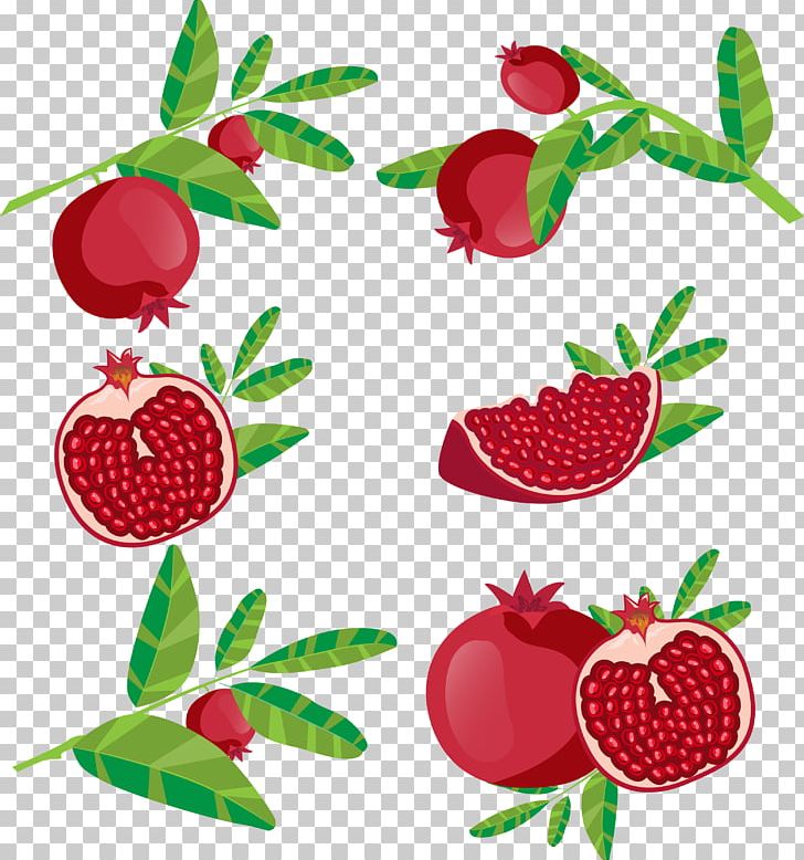 Pomegranate Juice Fruit Icon PNG, Clipart, Auglis, Berry, Branch, Cdr, Encapsulated Postscript Free PNG Download