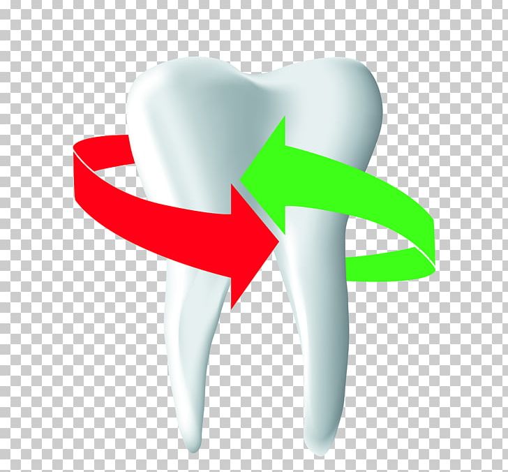 Tooth Thumb PNG, Clipart, Art, Cute Young, Finger, Hand, Human Body Free PNG Download