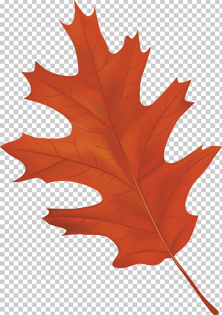 Autumn Leaf Color PNG, Clipart, Autumn, Autumn Leaf Color, Autumn Leaves, Brown, Color Free PNG Download