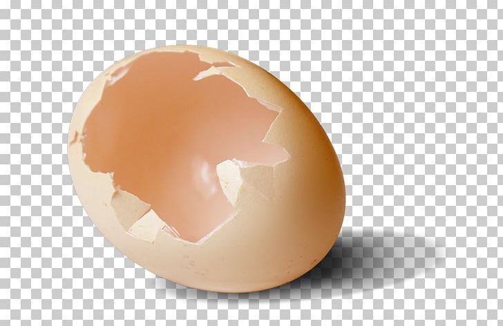 Chicken Egg Broken Eggshell Peel PNG, Clipart, Broken, Broken Glass ...