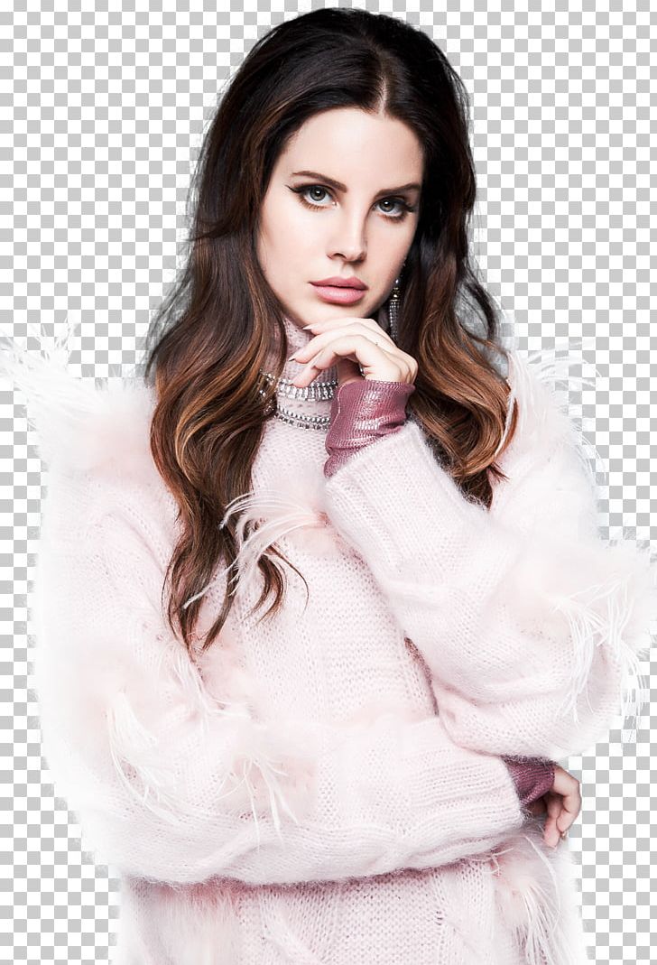 Lana Del Rey Desktop PNG, Clipart, Aap Rocky, Artist, Beauty, Brown Hair, Del Rey Free PNG Download
