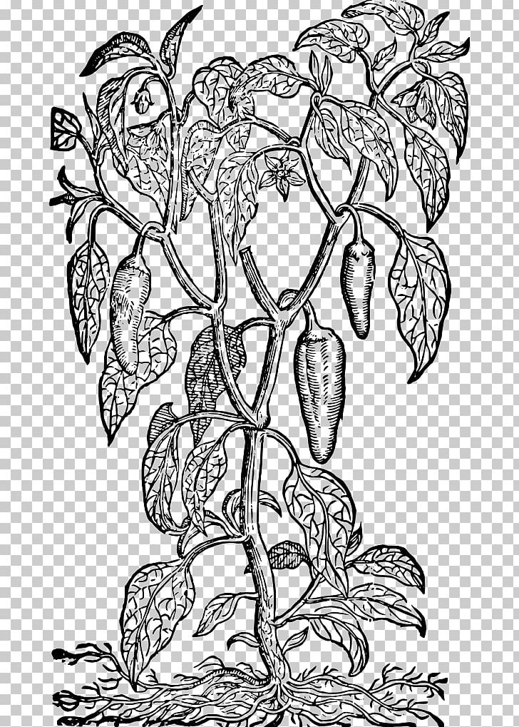 Middle Temple Library Floral Design Monochrome Visual Arts PNG, Clipart, Bell Pepper, Black And White, Branch, Coloring Book, Drawing Free PNG Download