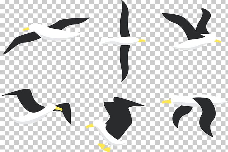 Penguin Bird Albatross Gulls PNG, Clipart, Adobe Illustrator, Albatross Vector, Animal, Animals, Beak Free PNG Download