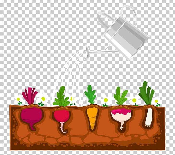 Plant Garden Devils Ivy Shrub PNG, Clipart, Carrot, Chopped, Chopped Green Onion, Devils Ivy, Floral Design Free PNG Download