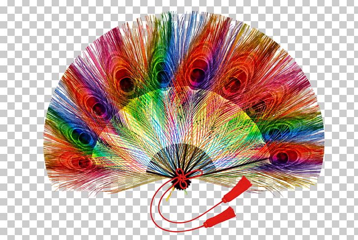 Feather Peafowl PNG, Clipart, Animals, Color, Colorful, Decorative Fan, Download Free PNG Download