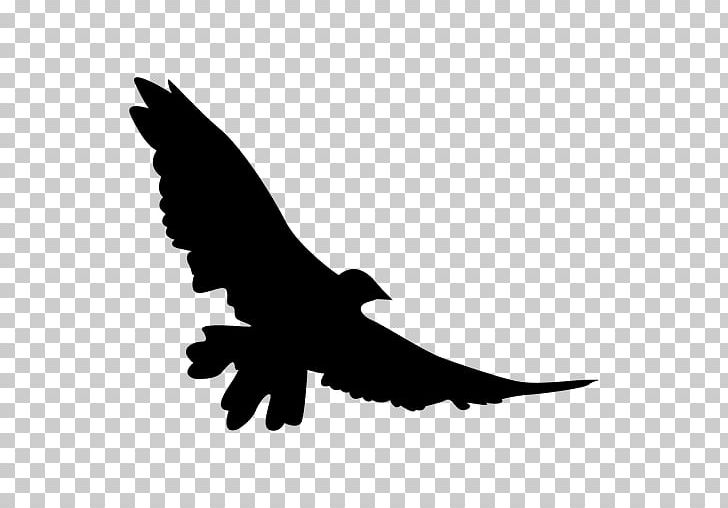Bird Silhouette Flight PNG, Clipart, Animal, Animals, Bald Eagle, Beak, Bird Free PNG Download