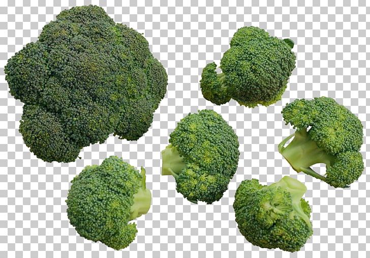 Chinese Broccoli Cauliflower Vegetable PNG, Clipart, Brassica Oleracea, Broccoli, Broccoli 0 0 3, Broccoli Art, Broccoli Sketch Free PNG Download