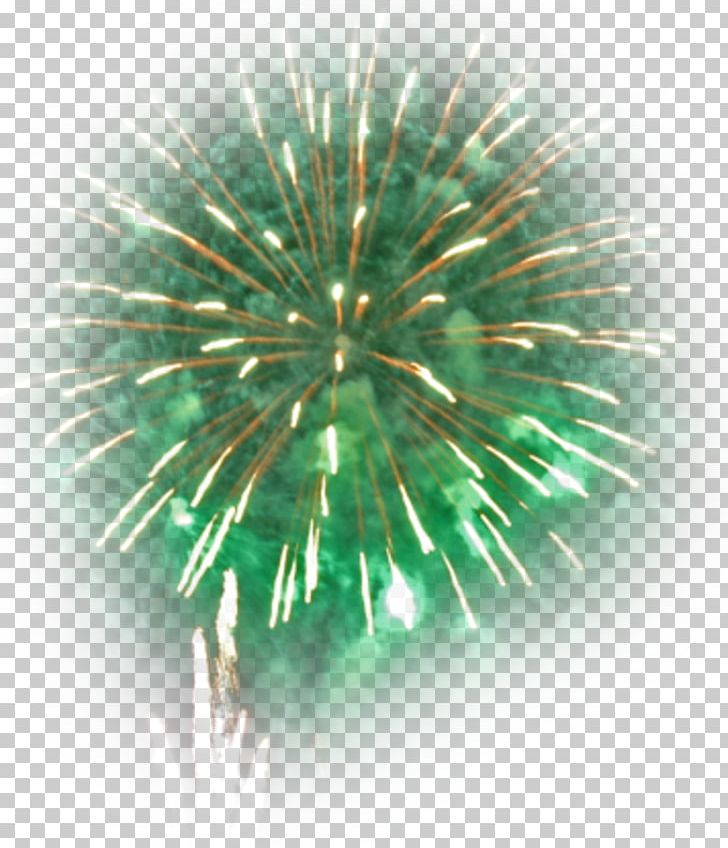 Fireworks Bû New Year Blog PNG, Clipart, 16 November, 26 July, Advertising, Blog, Book Free PNG Download