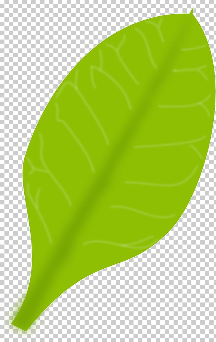 Green PNG, Clipart, Banana Leaf, Database, Grass, Green, Green Leaf Free PNG Download