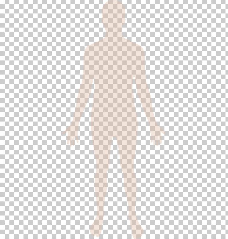 Homo Sapiens Human Body PNG, Clipart, Abdomen, Arm, Back, Body, Chest Free PNG Download