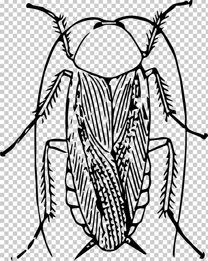 Cockroach PNG, Clipart, American Cockroach, Animals, Artwork, Black And White, Cockroach Free PNG Download