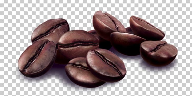 Coffee Bean Green Coffee Jamaican Blue Mountain Coffee Cold Brew PNG, Clipart, Bean, Brew, Brewed Coffee, Caffeine, Chocolate Coated Peanut Free PNG Download
