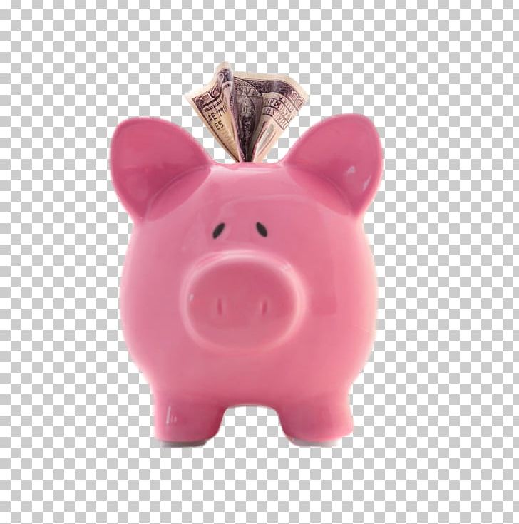Domestic Pig Piggy Bank Pink Money PNG, Clipart, Bank, Banking, Banknote, Banks, Child Free PNG Download