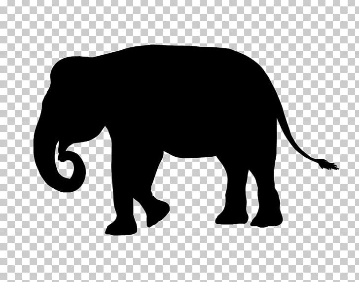 Indian Elephant African Elephant Cat Wildlife Terrestrial Animal PNG, Clipart, Animal, Animal Figure, Animals, Big Cat, Big Cats Free PNG Download