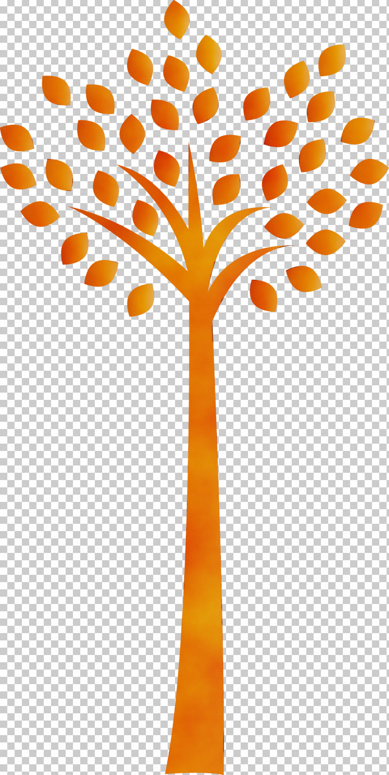 Orange PNG, Clipart, Leaf, Line, Orange, Paint, Plant Free PNG Download