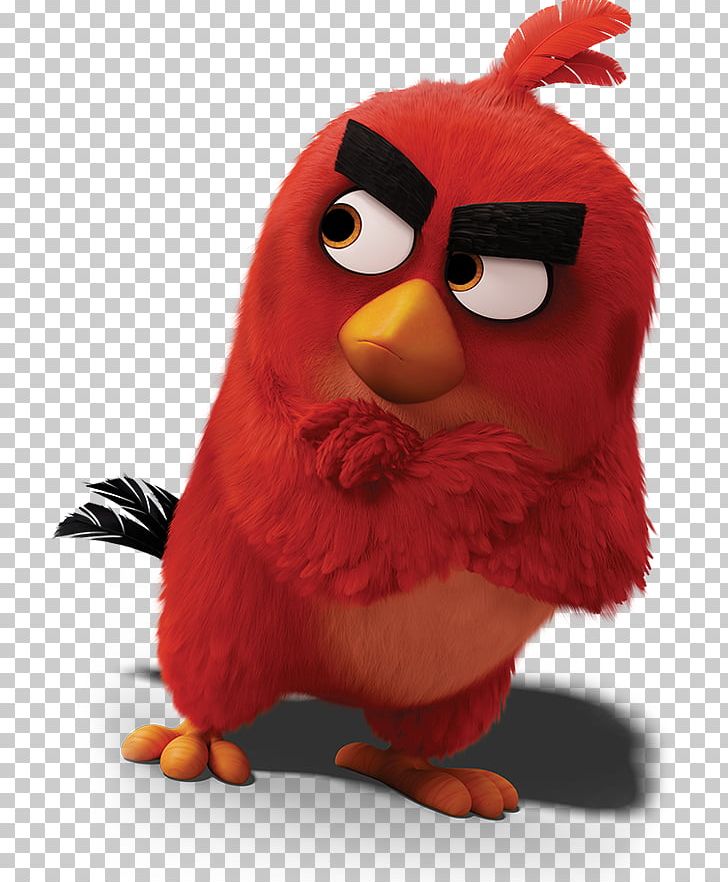 Red PNG, Clipart, Angry Birds, Angry Birds Movie, Animation, Beak, Bird ...