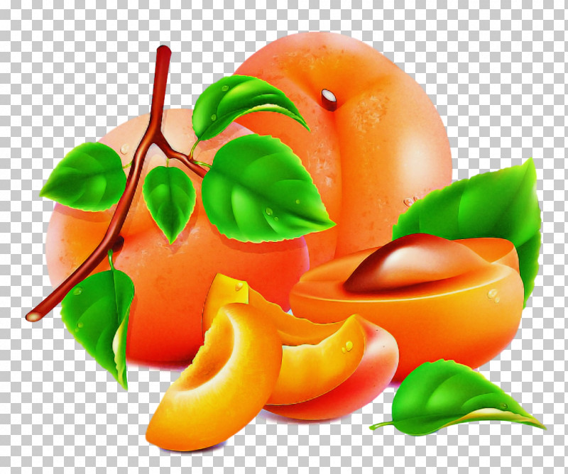 Orange PNG, Clipart, Food, Fruit, Leaf, Liquid, Natural Foods Free PNG Download