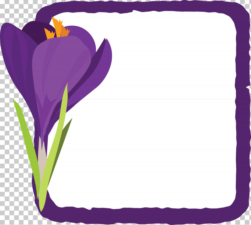 Flower Frame PNG, Clipart, Biology, Crocus, Flower Frame, Lavender, Matteo Viola Free PNG Download