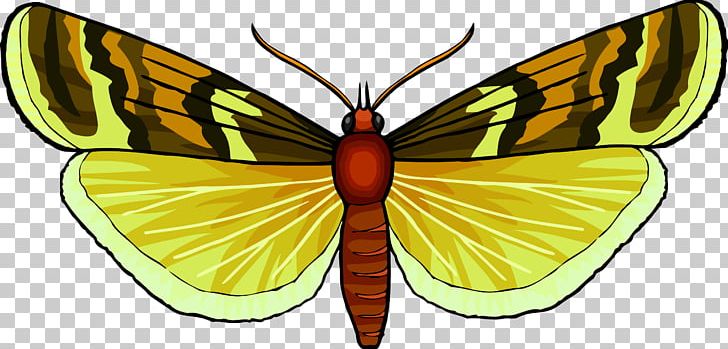 Monarch Butterfly Insect Pollinator Nymphalidae PNG, Clipart, Animal, Arthropod, Brush Footed Butterfly, Butterflies And Moths, Butterfly Free PNG Download
