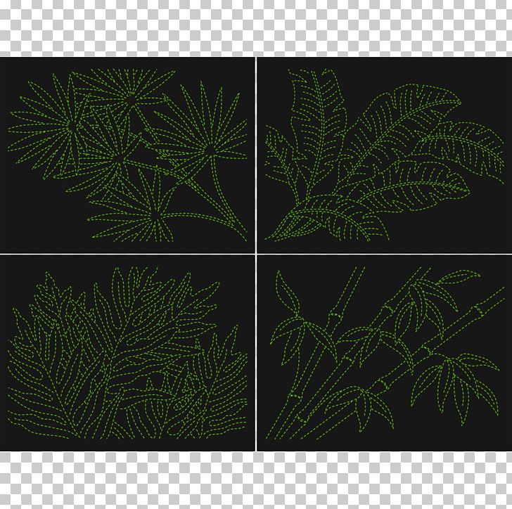 Rectangle Leaf PNG, Clipart, Branch, Flora, Grass, Leaf, Organism Free PNG Download