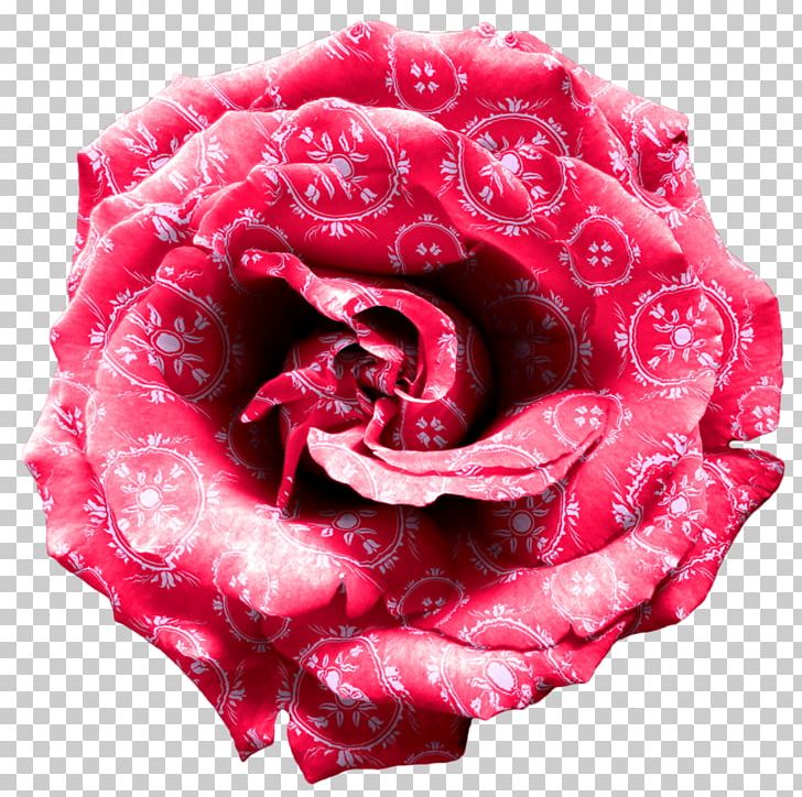 Rose Desktop PNG, Clipart, Blue Rose, Carnation, Cut Flowers, Desktop Wallpaper, Download Free PNG Download