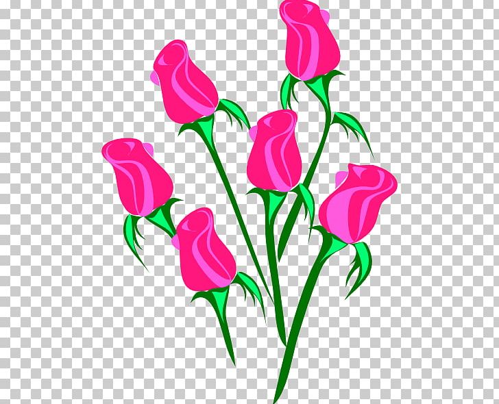 Rose Pink PNG, Clipart, Black Rose, Cut Flowers, Flora, Floral Design, Floristry Free PNG Download