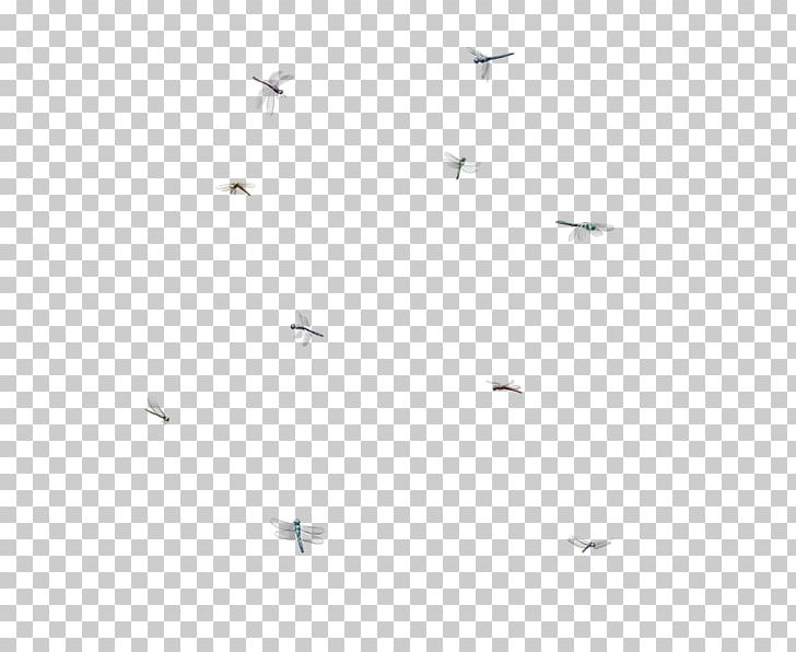 Bird Migration Angle Line Font PNG, Clipart, Angle, Animal Migration, Bird, Bird Migration, Black Free PNG Download