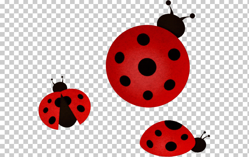 Ladybird Beetle Beetles Computer Icon Cartoon PNG, Clipart, Beetles, Cartoon, Computer, Ladybird Beetle Free PNG Download