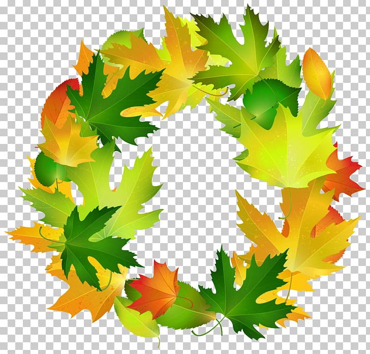 Leaf Border Oval PNG, Clipart, Autumn, Autumn Leaf Color, Border, Clip Art, Clipart Free PNG Download