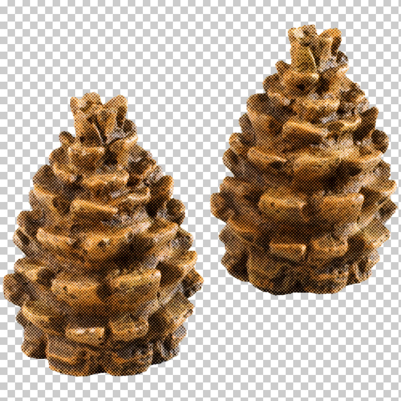 Christmas Tree PNG, Clipart, American Larch, Christmas Tree, Colorado Spruce, Cone, Conifer Free PNG Download
