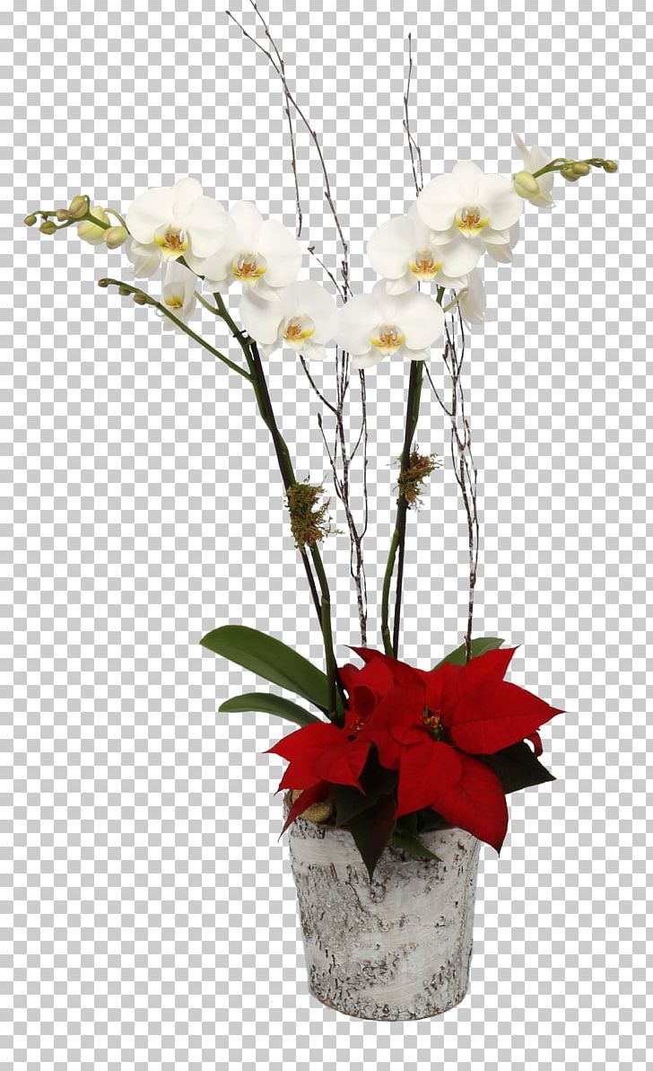 Moth Orchids Cut Flowers Homestead Gardens PNG, Clipart, Artificial Flower, Branch, Cattleya, Cut Flowers, Davidsonville Free PNG Download