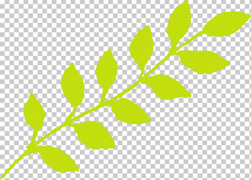 Leaf Green Plant Flower Branch PNG, Clipart, Branch, Flower, Green, Leaf, Plant Free PNG Download