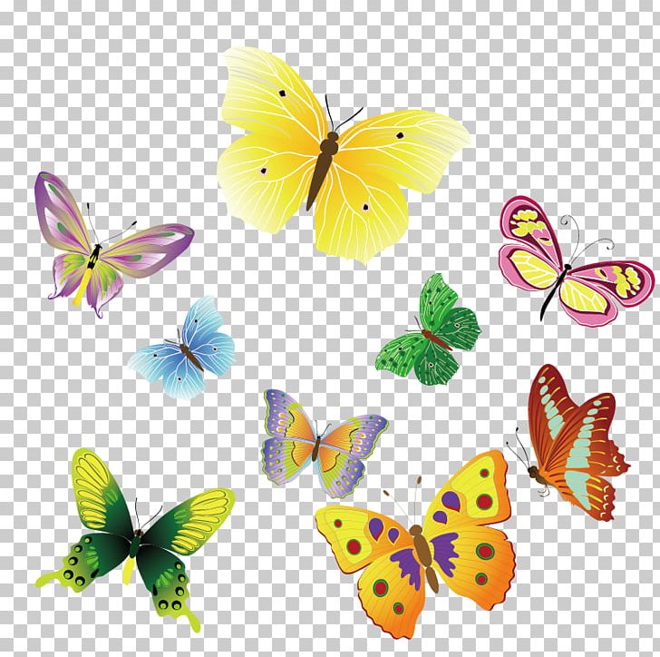 Butterfly Insect Euclidean PNG, Clipart, Brush Footed Butterfly, Butterflies And Moths, Color, Color Pencil, Colors Free PNG Download