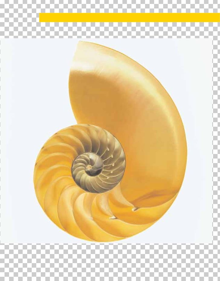 Campbell Biology: Concepts And Connections Publishing Photography Getty S PNG, Clipart, Autumnal, Biologist, Biology, Chambered Nautilus, Getty Images Free PNG Download
